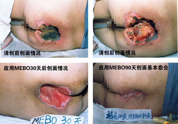 zoty中欧·(中国有限公司)官方网站