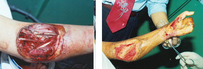 zoty中欧·(中国有限公司)官方网站