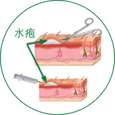zoty中欧·(中国有限公司)官方网站