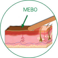 zoty中欧·(中国有限公司)官方网站