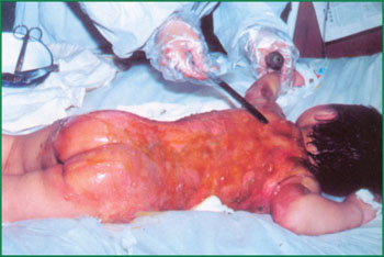 zoty中欧·(中国有限公司)官方网站