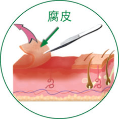 zoty中欧·(中国有限公司)官方网站
