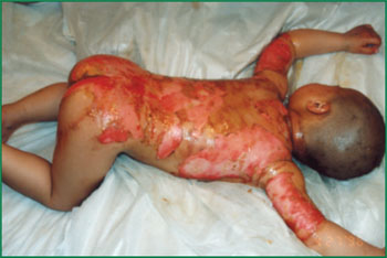 zoty中欧·(中国有限公司)官方网站