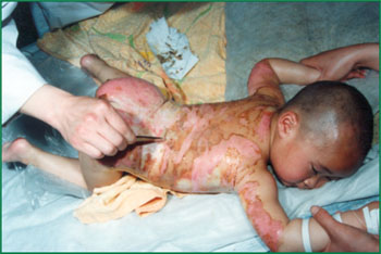 zoty中欧·(中国有限公司)官方网站