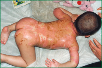 zoty中欧·(中国有限公司)官方网站