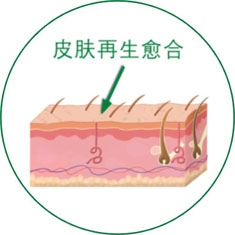 zoty中欧·(中国有限公司)官方网站