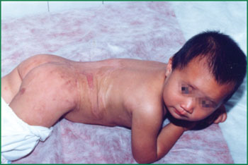 zoty中欧·(中国有限公司)官方网站