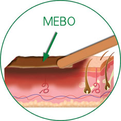 zoty中欧·(中国有限公司)官方网站
