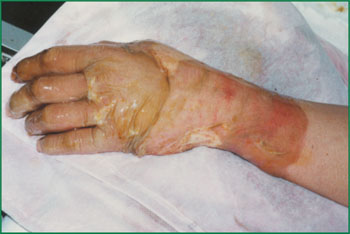 zoty中欧·(中国有限公司)官方网站