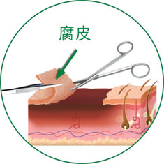 zoty中欧·(中国有限公司)官方网站