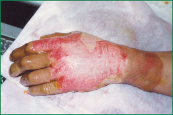 zoty中欧·(中国有限公司)官方网站