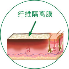zoty中欧·(中国有限公司)官方网站