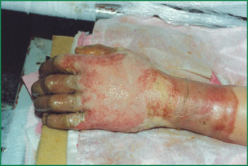 zoty中欧·(中国有限公司)官方网站