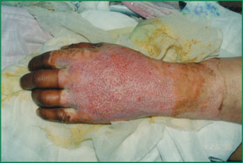 zoty中欧·(中国有限公司)官方网站