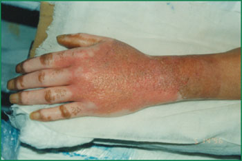 zoty中欧·(中国有限公司)官方网站