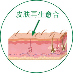 zoty中欧·(中国有限公司)官方网站