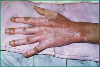 zoty中欧·(中国有限公司)官方网站