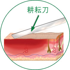 zoty中欧·(中国有限公司)官方网站