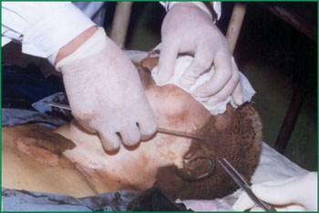 zoty中欧·(中国有限公司)官方网站