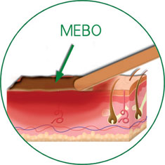zoty中欧·(中国有限公司)官方网站