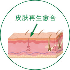 zoty中欧·(中国有限公司)官方网站