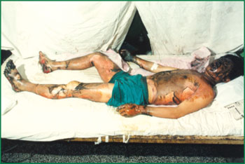 zoty中欧·(中国有限公司)官方网站