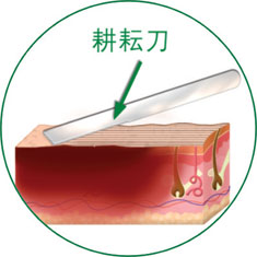 zoty中欧·(中国有限公司)官方网站