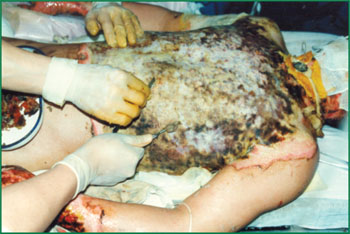 zoty中欧·(中国有限公司)官方网站