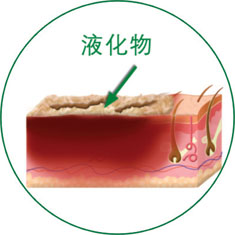 zoty中欧·(中国有限公司)官方网站