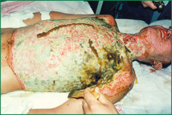 zoty中欧·(中国有限公司)官方网站