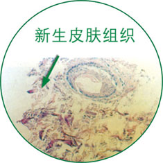 zoty中欧·(中国有限公司)官方网站