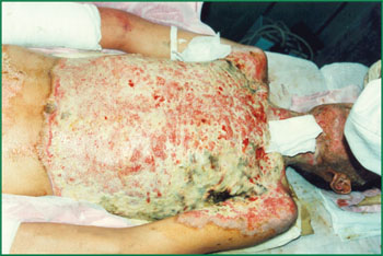 zoty中欧·(中国有限公司)官方网站