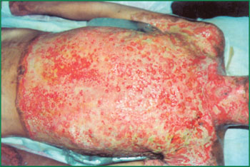 zoty中欧·(中国有限公司)官方网站