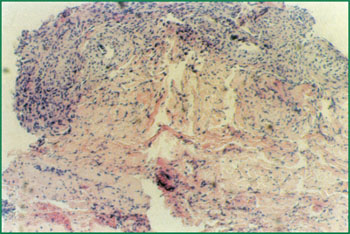 zoty中欧·(中国有限公司)官方网站