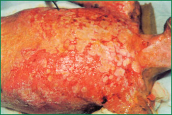 zoty中欧·(中国有限公司)官方网站