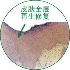 zoty中欧·(中国有限公司)官方网站