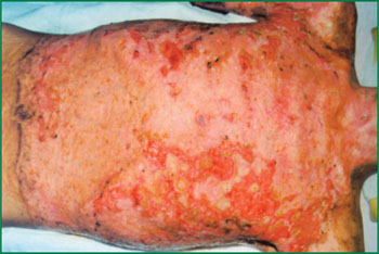 zoty中欧·(中国有限公司)官方网站