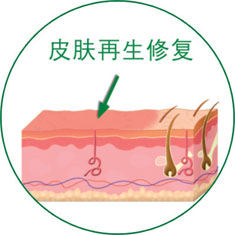 zoty中欧·(中国有限公司)官方网站