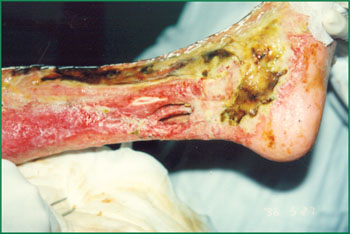 zoty中欧·(中国有限公司)官方网站