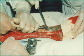 zoty中欧·(中国有限公司)官方网站