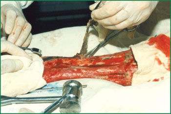 zoty中欧·(中国有限公司)官方网站