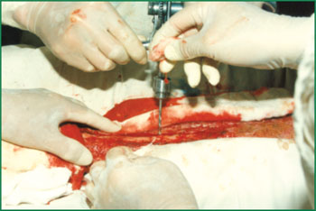 zoty中欧·(中国有限公司)官方网站