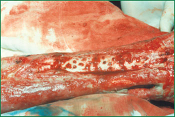 zoty中欧·(中国有限公司)官方网站