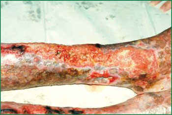 zoty中欧·(中国有限公司)官方网站