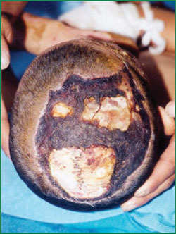 zoty中欧·(中国有限公司)官方网站