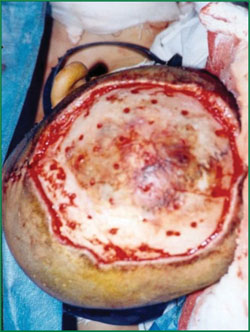 zoty中欧·(中国有限公司)官方网站