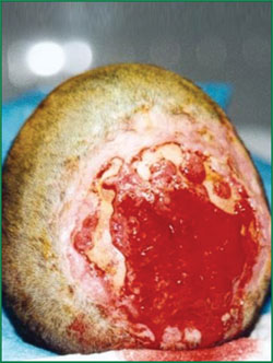 zoty中欧·(中国有限公司)官方网站