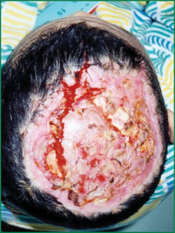 zoty中欧·(中国有限公司)官方网站