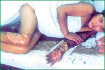 zoty中欧·(中国有限公司)官方网站