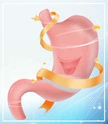 zoty中欧·(中国有限公司)官方网站